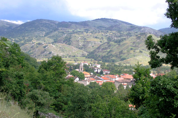 Torano