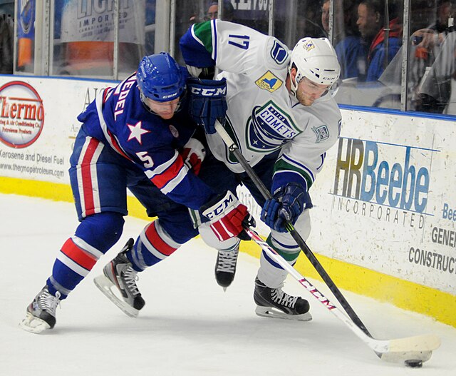 Two hockey players battle over the puck.