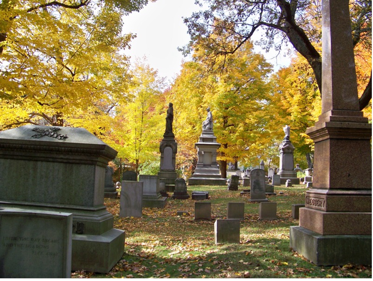 Headstones in a cemetary.