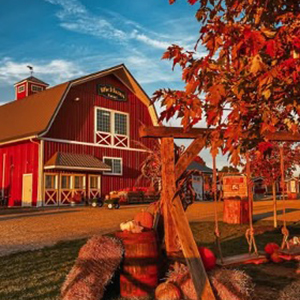 Pumpkins and hale bails next to a swing set with a red barn in the background.