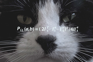 Cat's face with equation