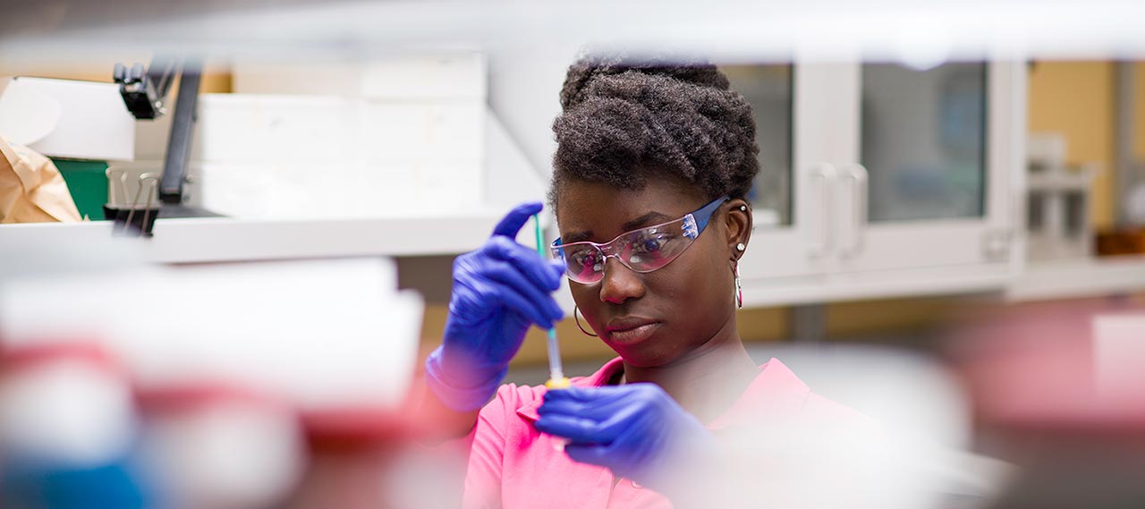 A student working in a lab.