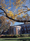 student reading in Rush Rhees Library