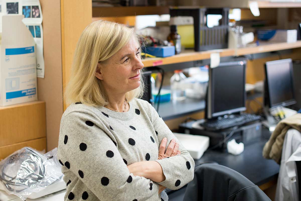 Maiken Nedergaard in her lab