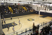 Palestra Basketball Court