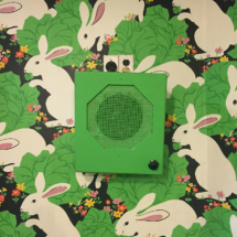Detail of pre-existing wallpaper and speaker