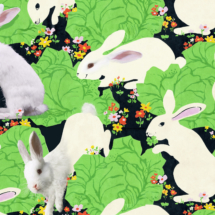 Detail of altered existing wallpaper