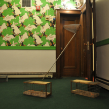 Existing wallpaper and animal net and traps
