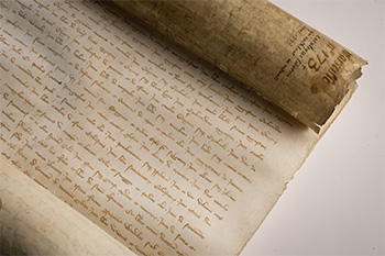 A scroll with Latin writing