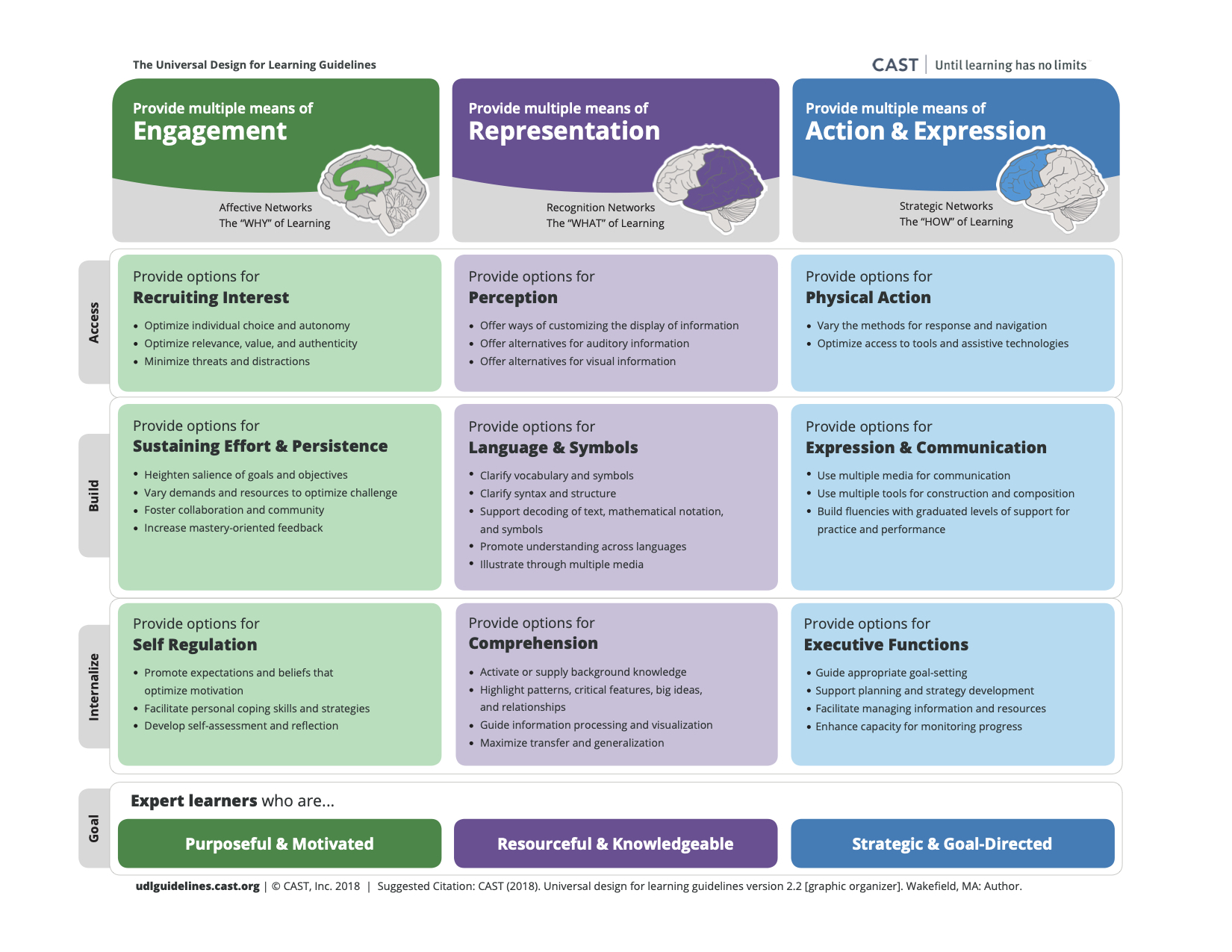 UDL guidelines developed by CAST. This image contains text; the link above directs to an accessible version of this image.