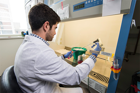 Student working in a lab
