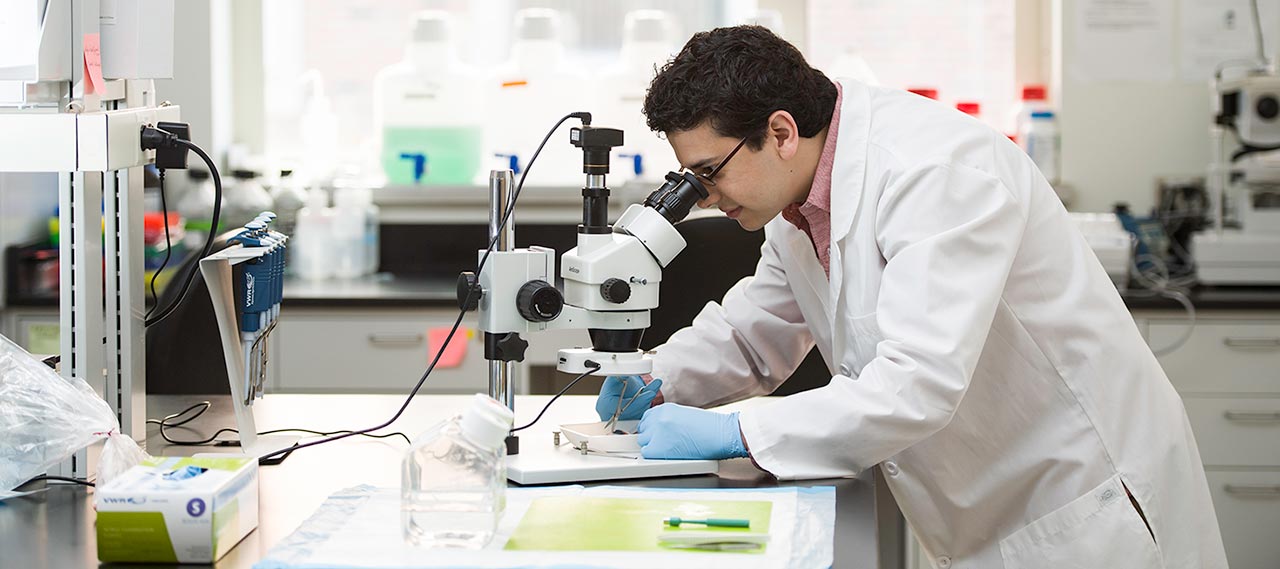 A student working in a lab.