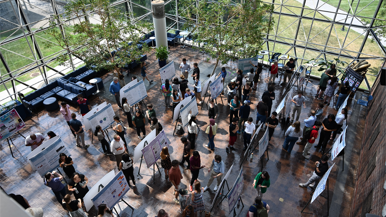 An overhead view of the event.