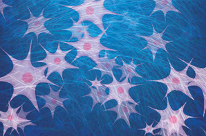 Hydrogel