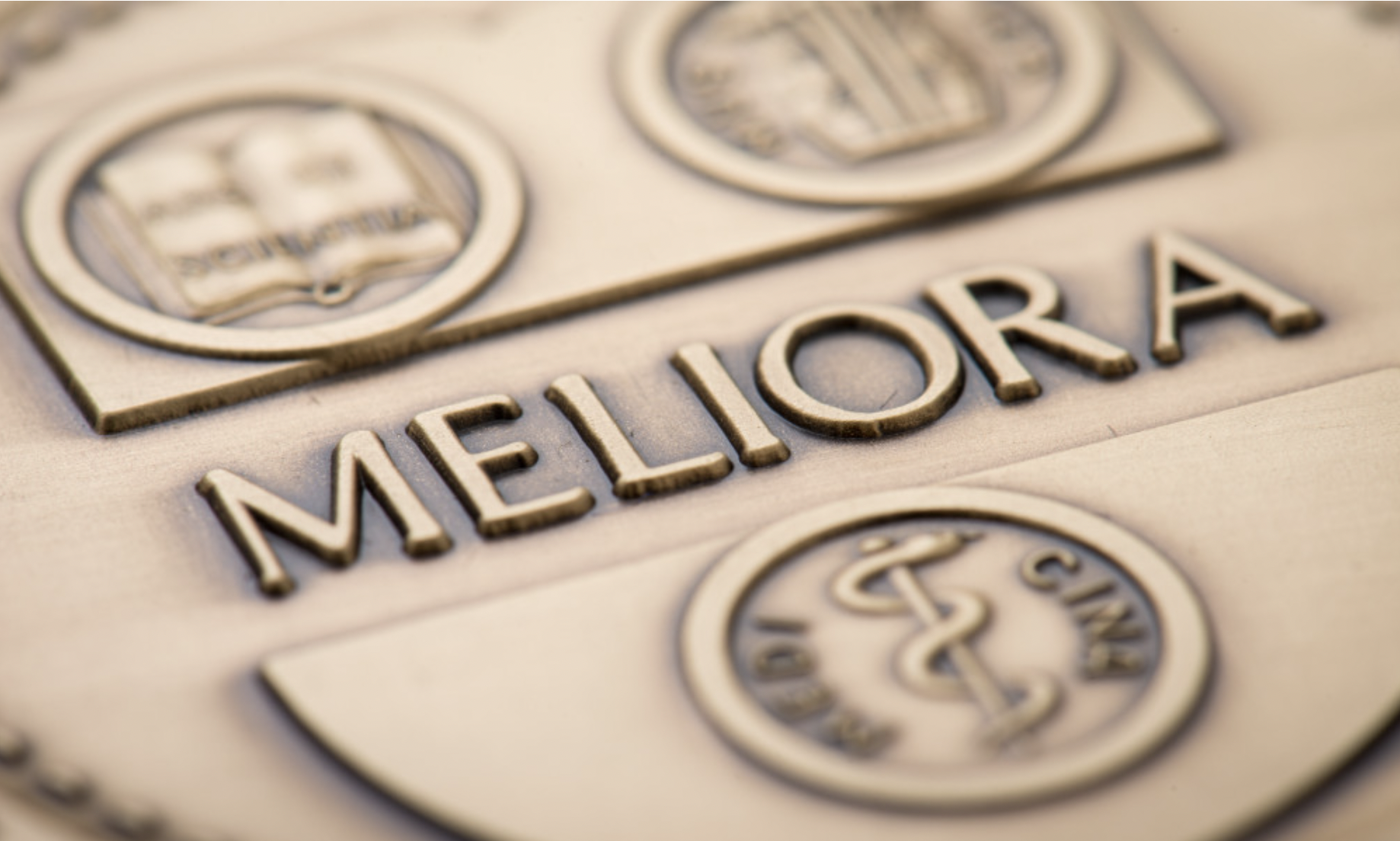 Meliora Medallion