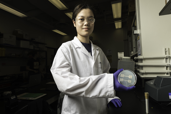 Wenqi (Olivia) Di '25 holds alginate dogbone printed on media