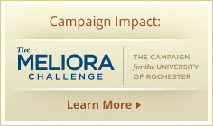 Campaign Impact