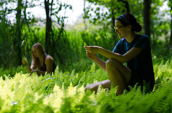 students studying plant life