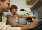 researchers