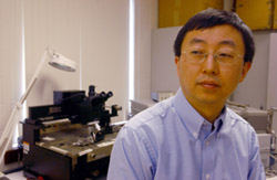 Hui Wu