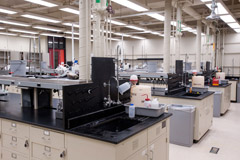 sight lines in traditional lab