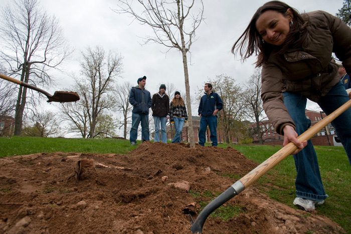 tree planting