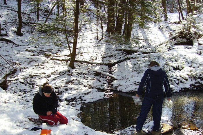 researchers at a river