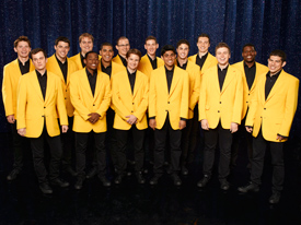 Yellowjackets