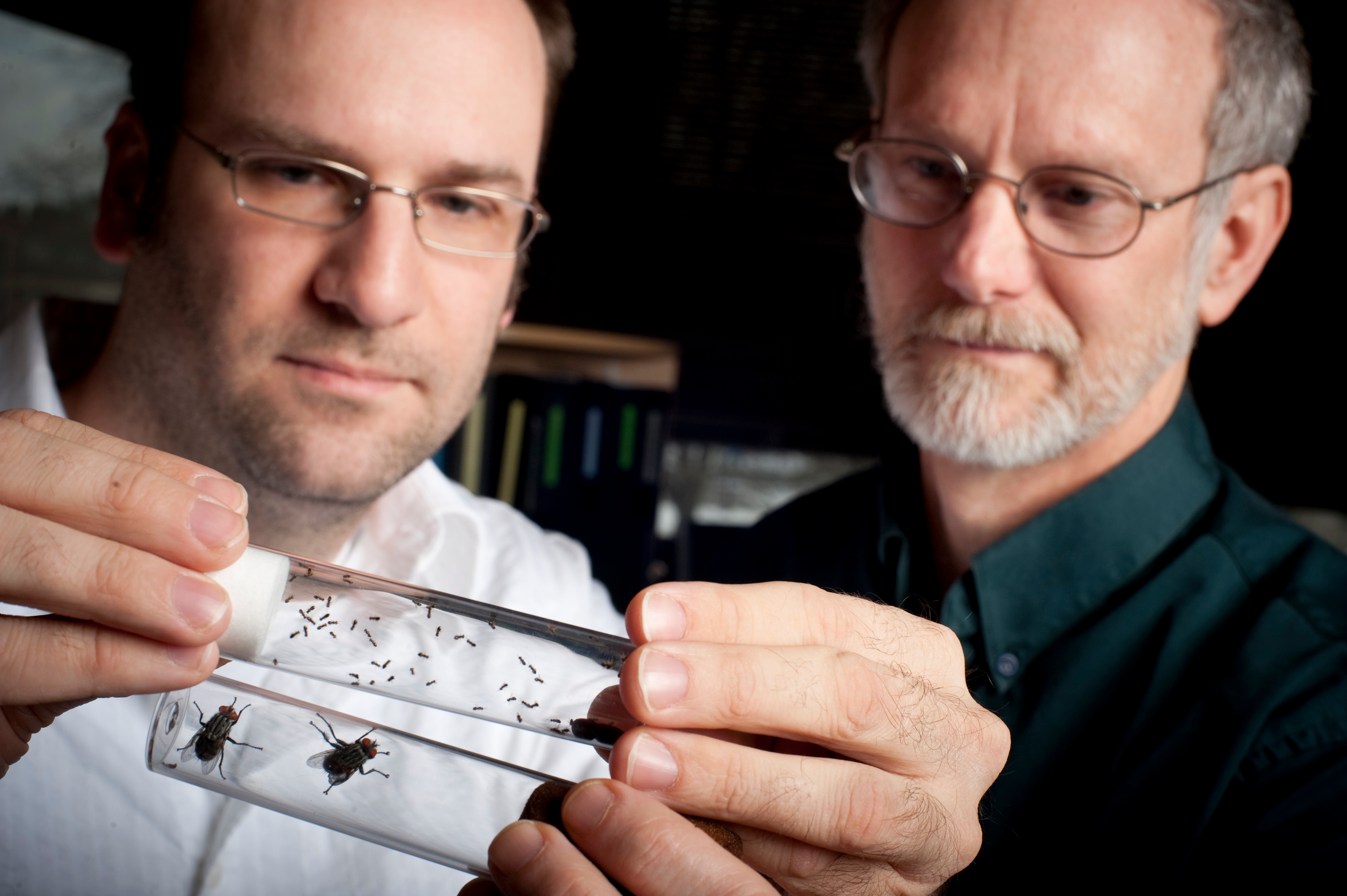 Chris Desjardin and <b>Jack Werren</b> compare parasitic wasps (tiny insects in ... - hi535
