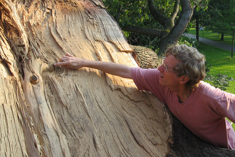 Tree of Life in Genesee Valley Park