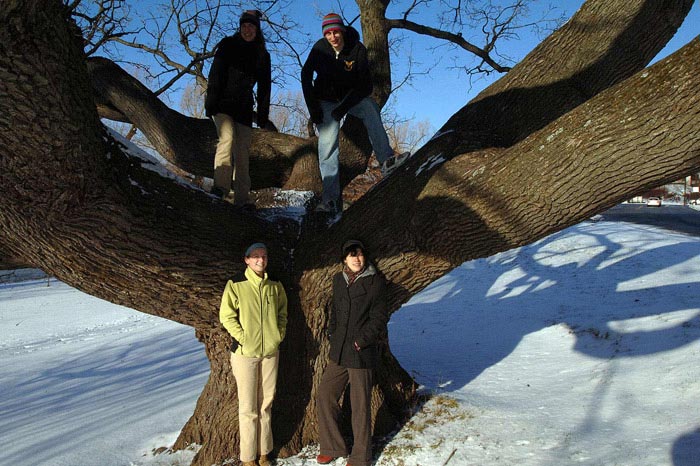 Tree of Life in Genesee Valley Park