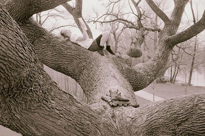 Tree of Life in Genesee Valley Park