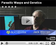 still from Jack Werren video