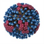 Volunteers Needed for Two Flu Vaccine Studies Volunteers Needed for Two Flu Vaccine Studies