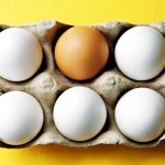 Nutrient in Eggs and Meat May Influence Gene Expression from Infancy to Adulthood Nutrient in Eggs and Meat May Influence Gene Expression from Infancy to Adulthood