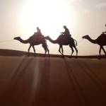 Study Abroad Scholarships Awarded Study Abroad Scholarships Awarded