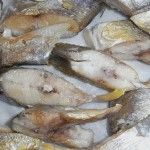 Fishing for Prenatal Benefits Fishing for Prenatal Benefits