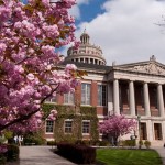 University Tops in Trees for Third Year Running University Tops in Trees for Third Year Running