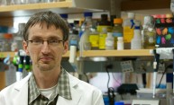 Dewhurst Named URMC Vice Dean for Research Dewhurst Named URMC Vice Dean for Research