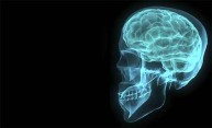 Brain’s ‘Garbage Truck’ May Hold Key to Alzheimer’s Brain’s ‘Garbage Truck’ May Hold Key to Alzheimer’s