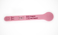 Male hormones may enhance female fertility Male hormones may enhance female fertility