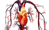 Device saves lives in heart failure patients Device saves lives in heart failure patients