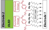 scientific diagram showing an inert layer between two electrodes