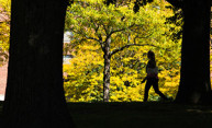 Creating safe campuses focus of sexual assault conference Creating safe campuses focus of sexual assault conference