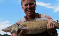 Lake sturgeon making a comeback in the Genesee Lake sturgeon making a comeback in the Genesee