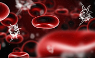 Diverse team of doctors, engineers receives $4M grant to combat sepsis Diverse team of doctors, engineers receives $4M grant to combat sepsis