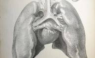 Researchers to develop detailed map of human lungs Researchers to develop detailed map of human lungs