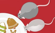 Decoding fat cells: Discovery may explain why we gain weight Decoding fat cells: Discovery may explain why we gain weight