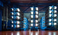 Funding aimed at fusion energy awarded to Laboratory for Laser Energetics, Sandia National Laboratories collaboration Funding aimed at fusion energy awarded to Laboratory for Laser Energetics, Sandia National Laboratories collaboration