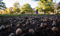 Seeds of knowledge Seeds of knowledge